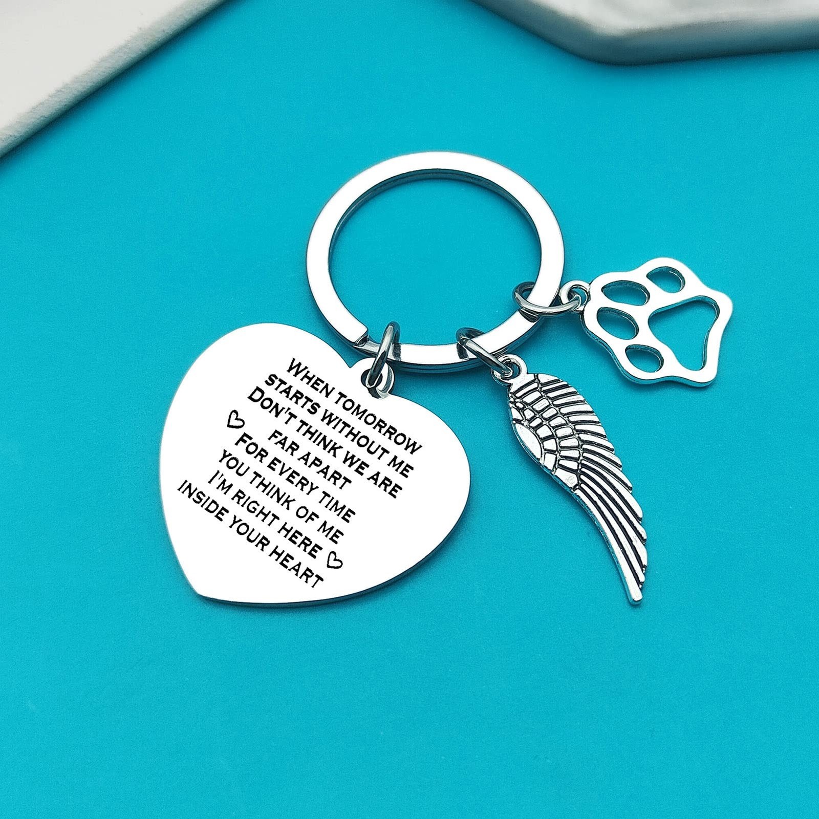 Xiahuyu Pet Memorial Keychain Pet Loss Gifts Loss of Dog or Cat Memorial Gift…