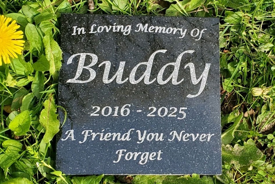 Pet Memorial Granite Stone Engraved Grave Marker Headstone Garden Plaque d6