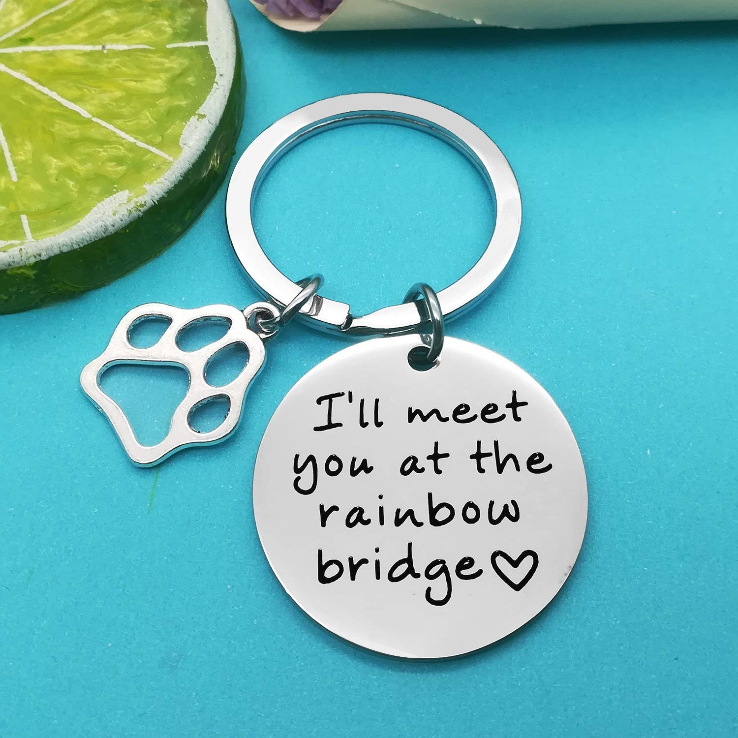 Xiahuyu Pet Memorial Keychain Gift I’ll Meet You at The Rainbow Bridge Keycha…