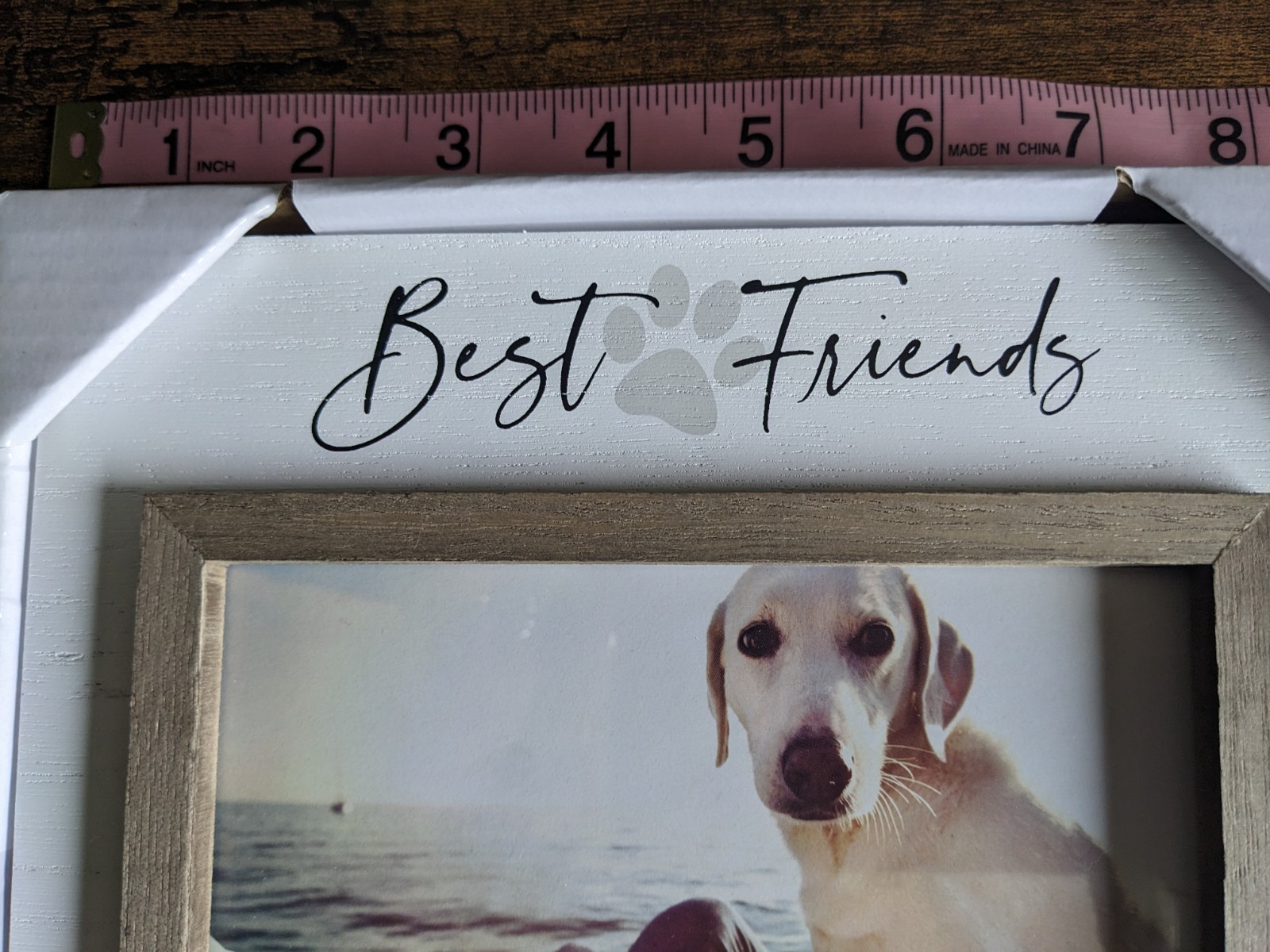 Puppy Dog Best Friend Memorial Photo Frame 4×6 Print Pet White New In Package