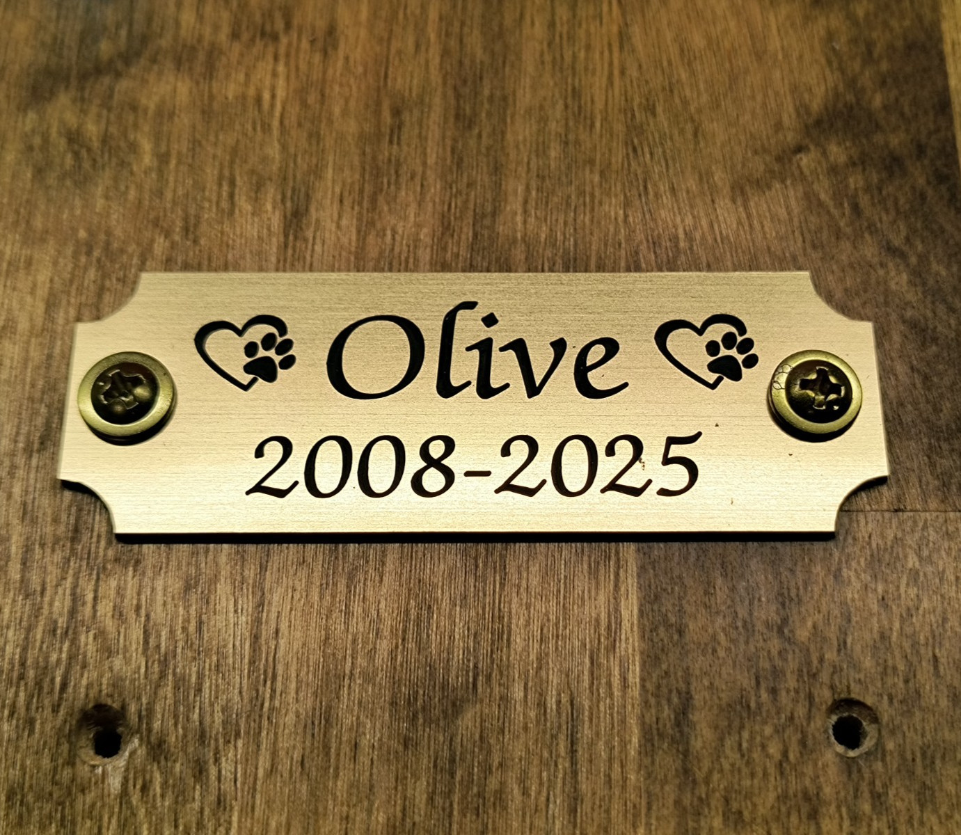 Custom Engraved Brushed Gold Tone Pet Memorial Urn Plaque Plate with Screws