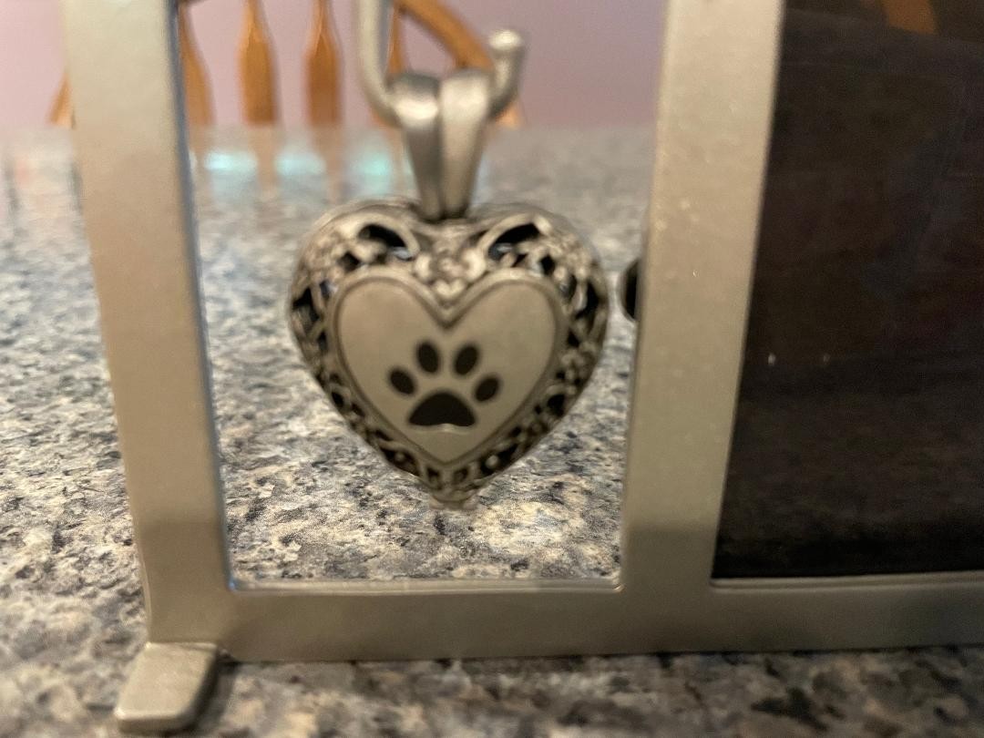 Pet/Dog Memorial Photo Frame with Vial For Ashes Inside Heart~Unused