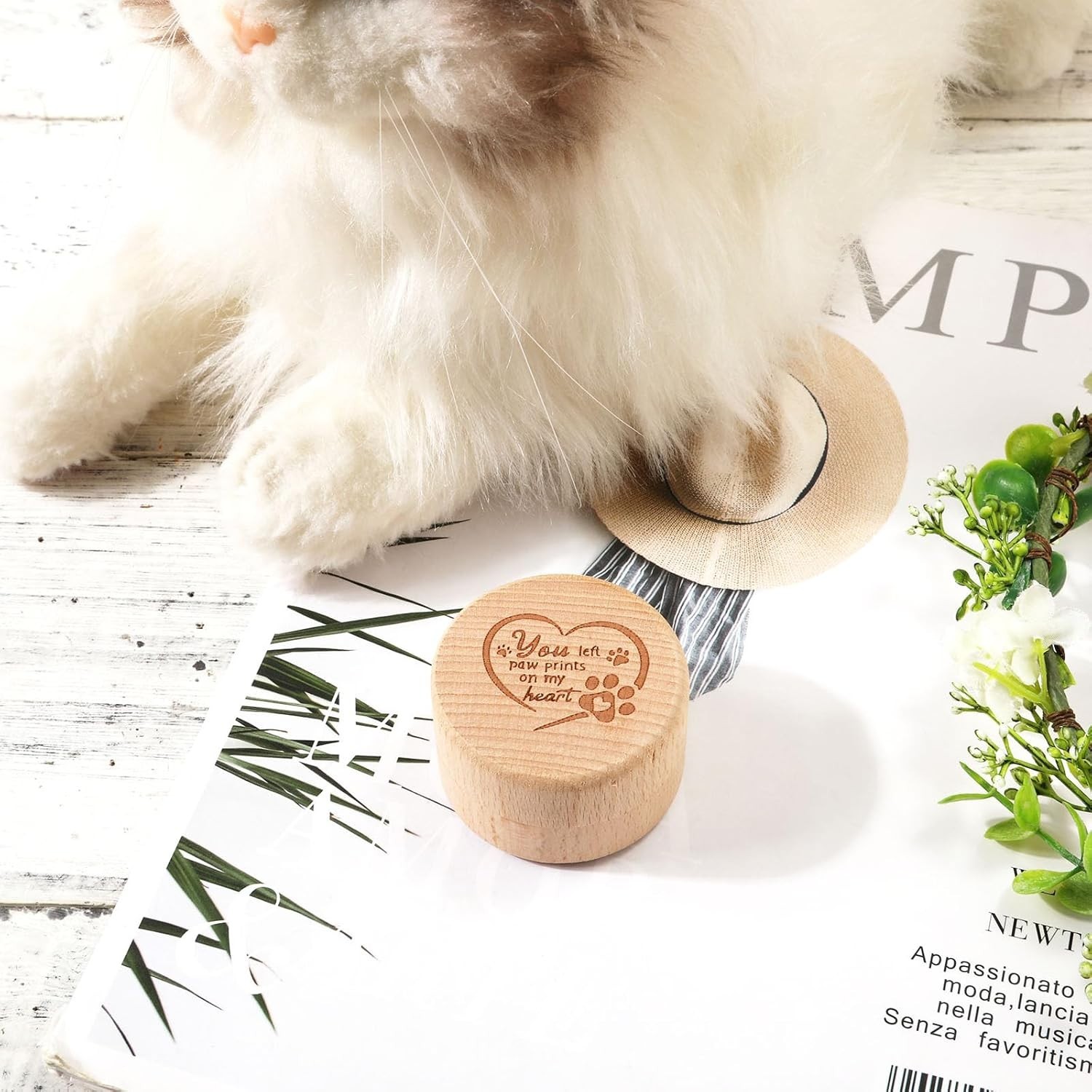 Heartfelt Pet Loss Memorial Box – Beech Wood Keepsake for Hair & Ashes