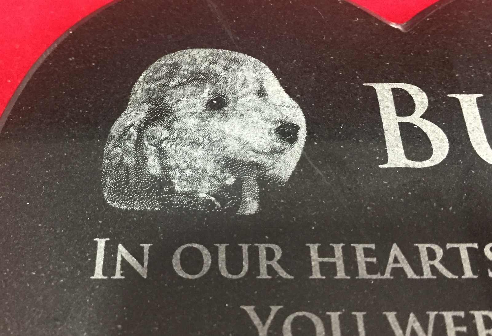 Memorial Plaque Photo Granite Heart Pet Custom Engraved (personalised)