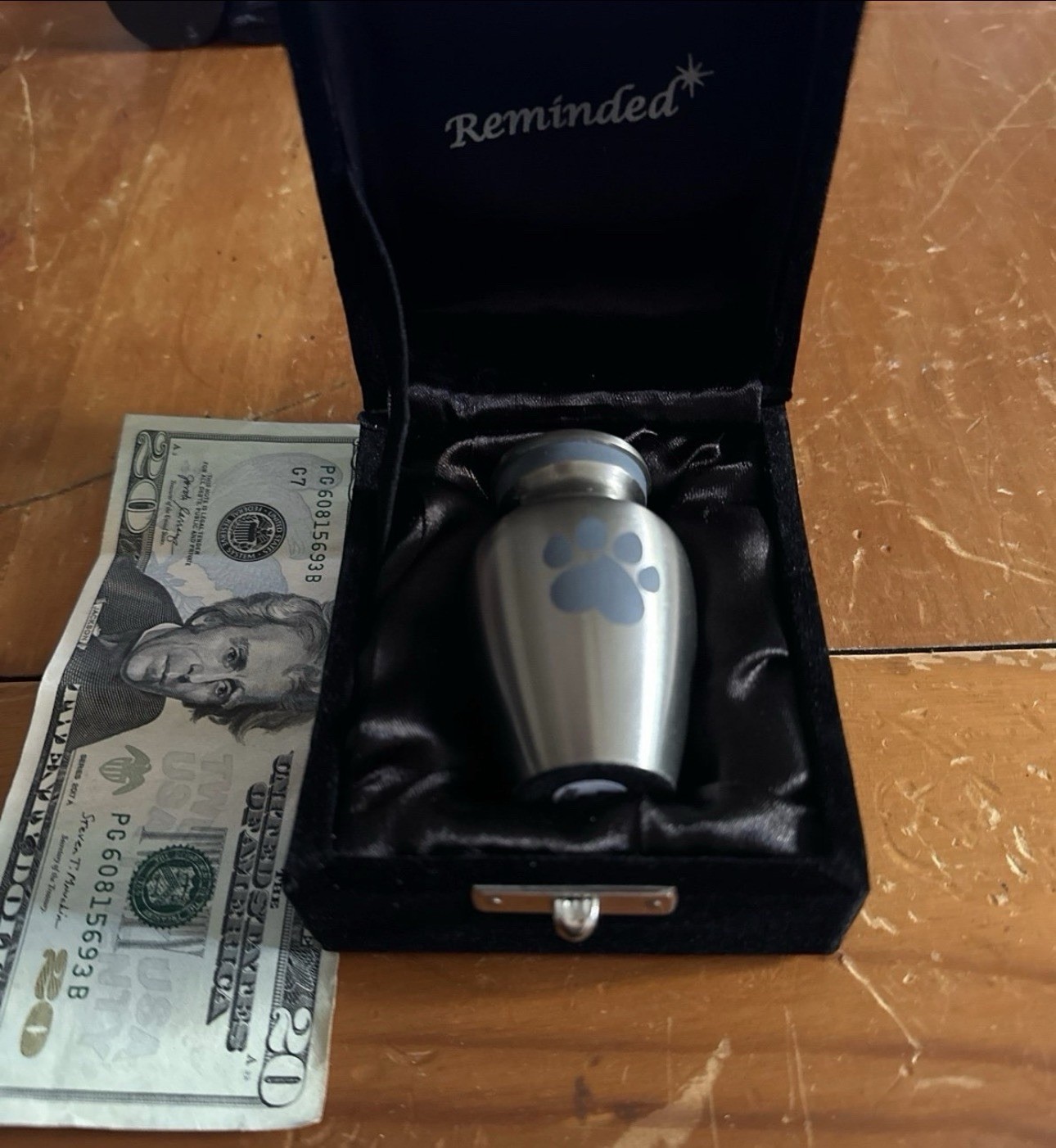 Paw Engraved Pet Stainless Steel Urn for Small Dogs & Cats Ashes + Box