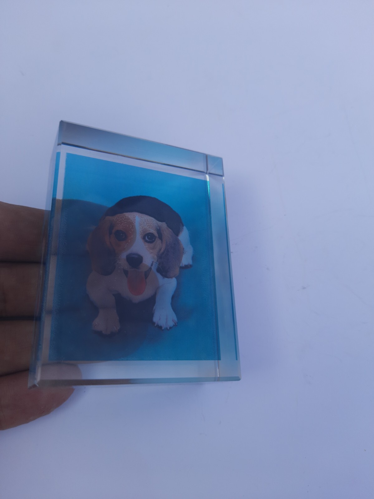 crystal,Personalized Sympathy Tribute Gift Customized For Lost of a Dog