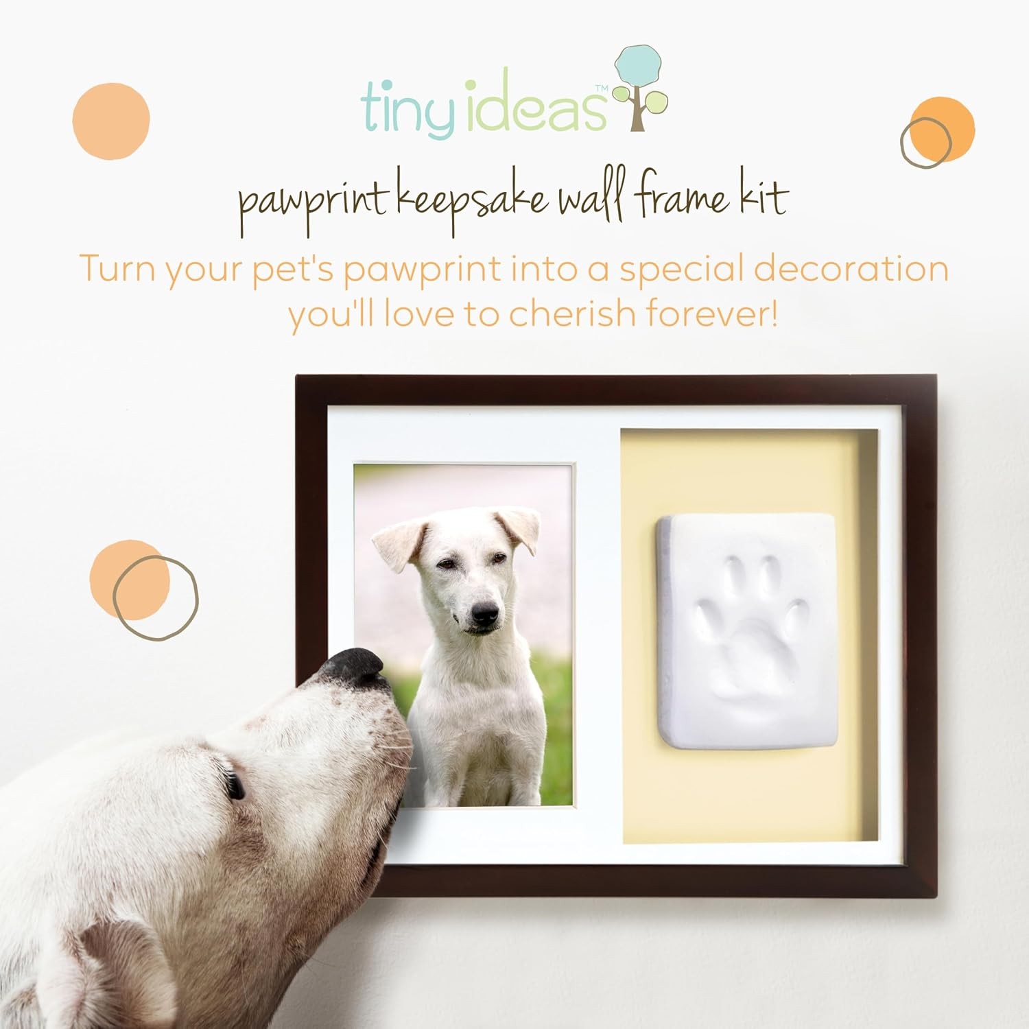 Pet Paw Print Keepsake Kit