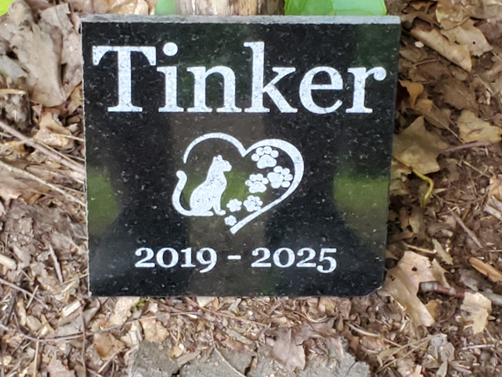 Cat Memorial Grave Stone Marker Pet Headstone Granite Garden Burial Plaque d7