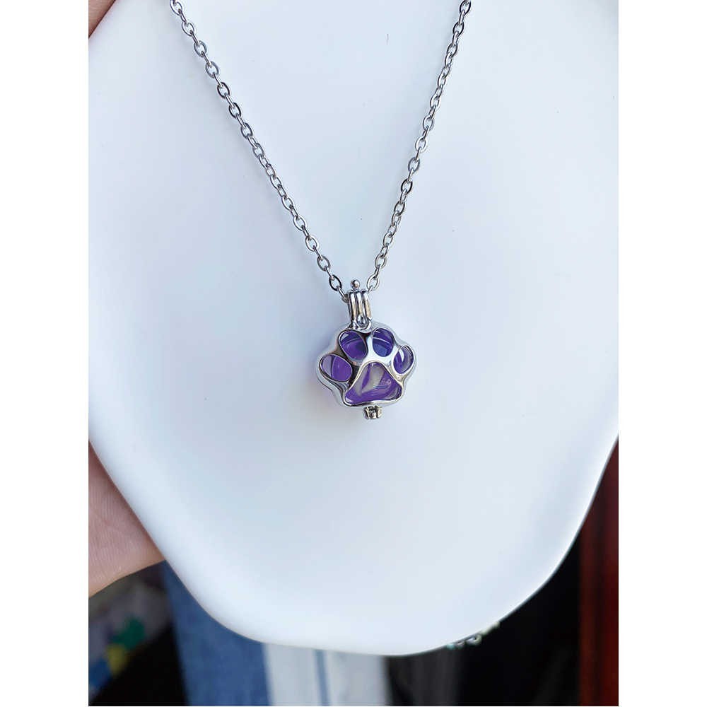DIY Pet Memorial Necklace Kit, Custom Ashes Hair Locket 925 Sterling Silver Keep