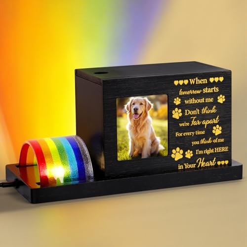 Rainbow Bridge Pet Memorial Gifts – LED Light Dog or Cat Urns for Ashes with
