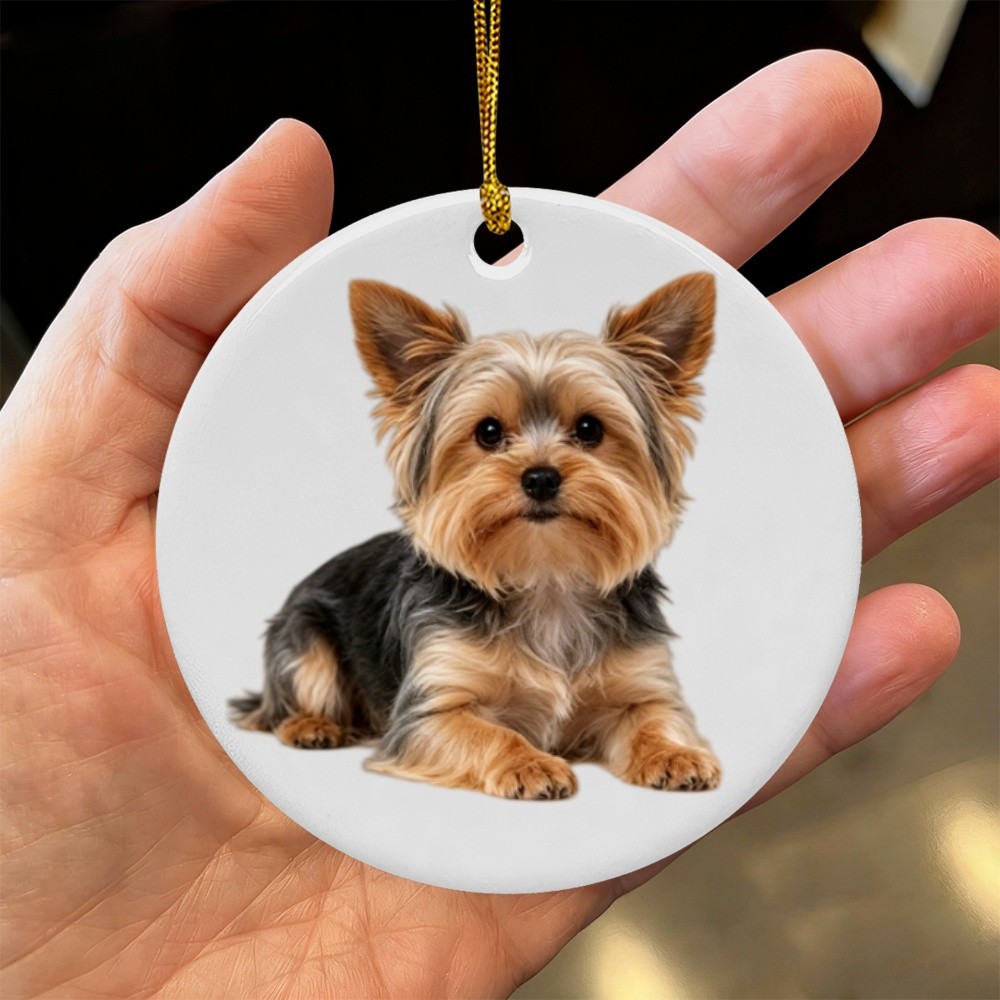 Round Double Sided Ceramic Pet Memorial Gift Personalized Pet Name & Picture