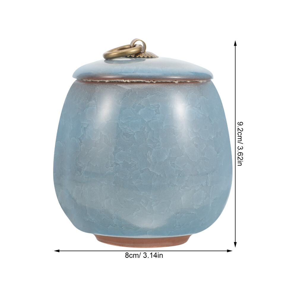 Pet Urns for Cats Blue Mini Keepsake Sympathy Ashes Storage