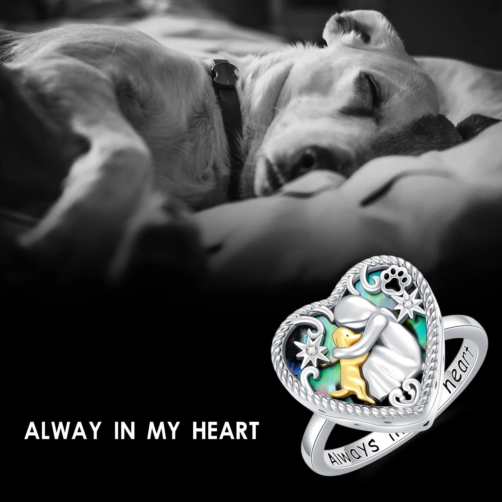 Aoboco Sterling Silver Dog Urn Ring For Ashes Dog Memorial Keepsake Cremation