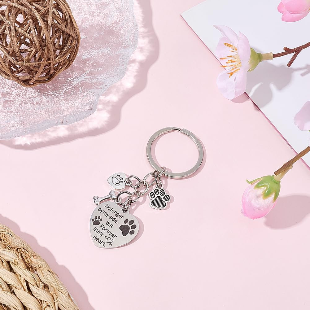 1 Box Dog Memorial Keychain Pet Memorial Gifts Silver Stainless Steel No Longer