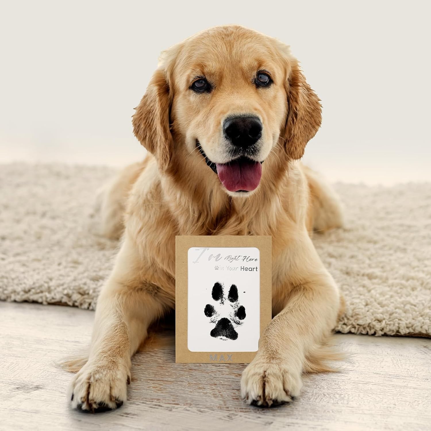 Inkless Pet Paw Print Kit for Dogs Cats No Mess Keepsake, 4 Pack