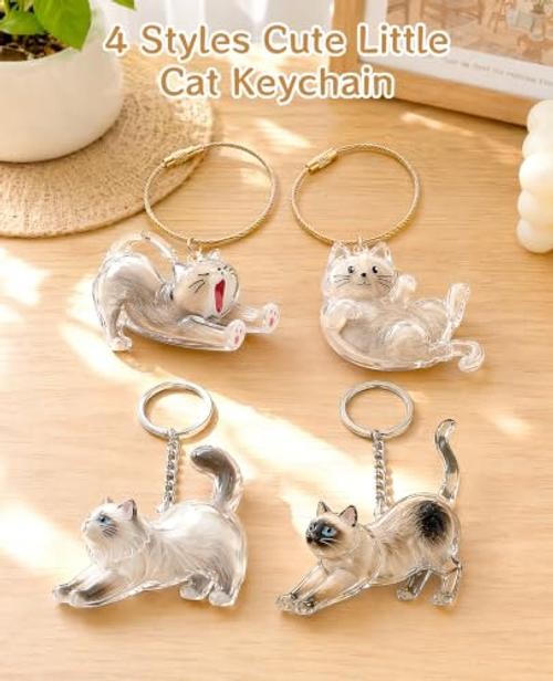 4 PCS Cat Hair Memorial Keepsake – Pet Fur Keychain Collecting Hair for Pet