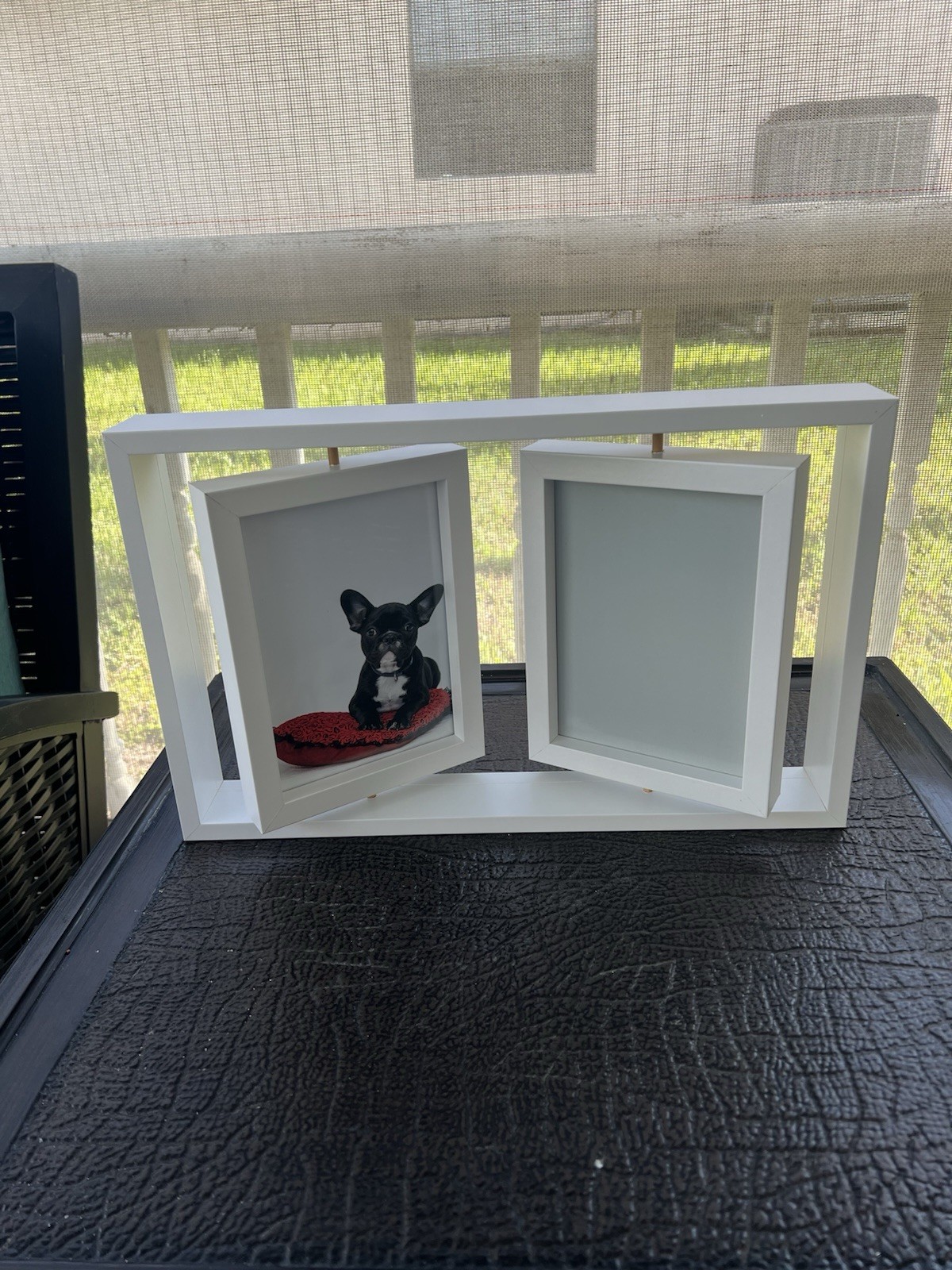 Pet Paw Print Keepsake Frame Kit 5×7 Photo Clay Impression Dog Cat Memorial NEW
