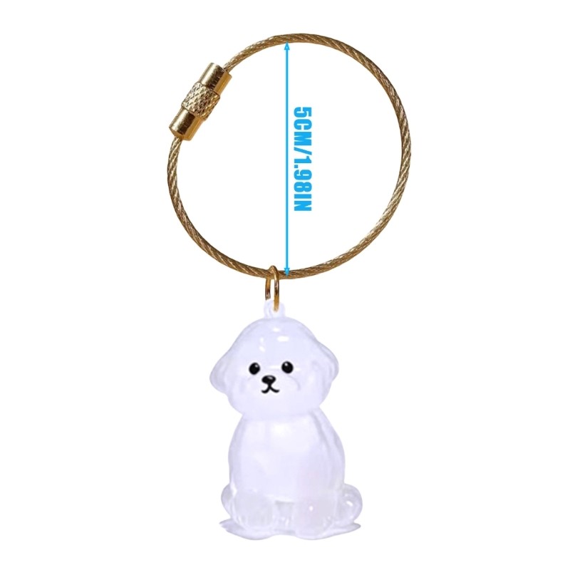 Pet Memorial Keychain For Carrying Dog Hair Remembrance Plastic Case
