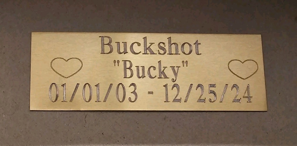 Custom Engraved 1×3-inch Dog/Pet Memorial Plate/ Sign / Plaque/ Tag Dog