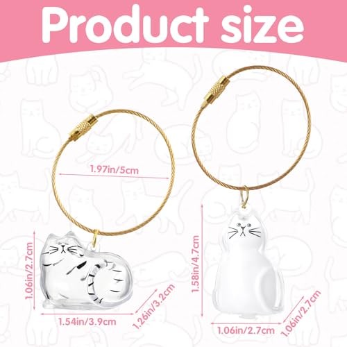2pcs Cat Hair Keychain – Clear Fur Keepsake – Creative Cat Hair Pendant