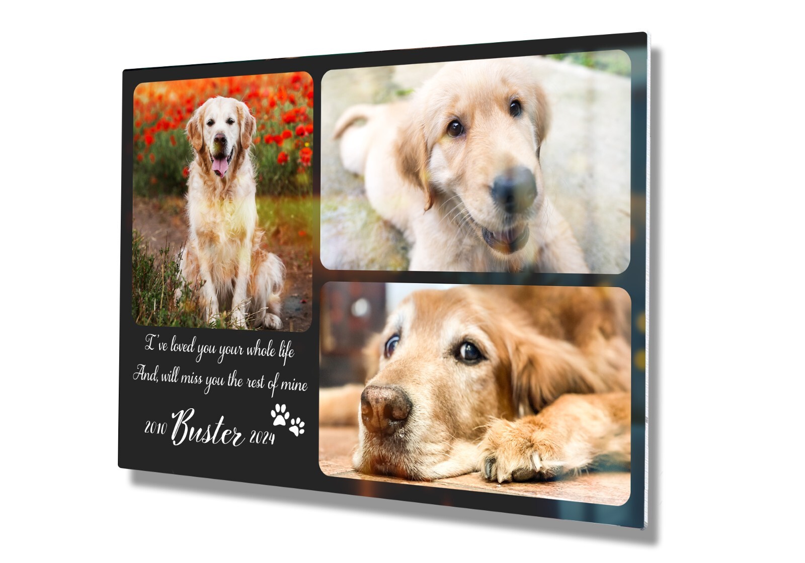 Personalized Pet Memorial Gifts with Photo of your Dog, Cat Custom Metal Print