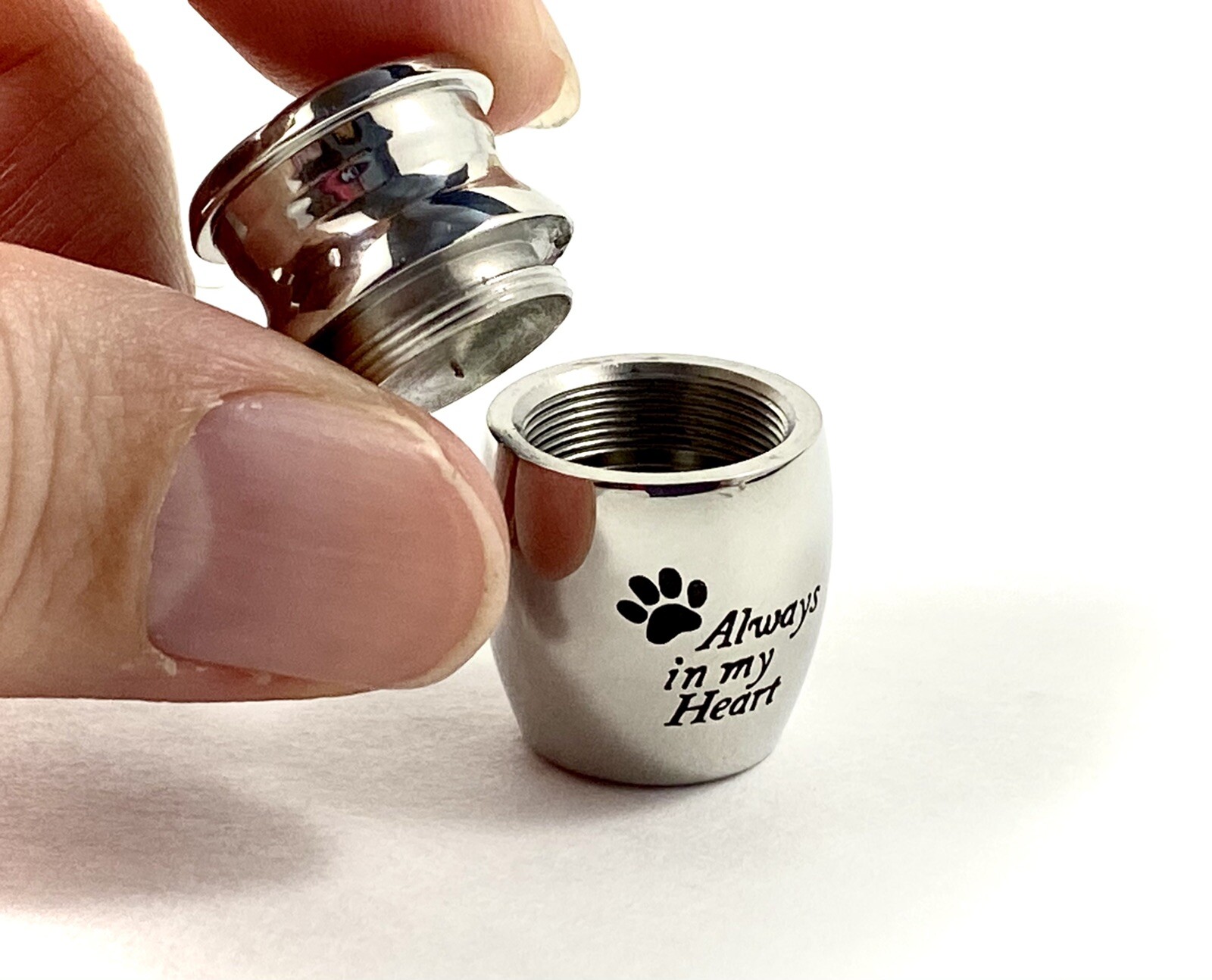 Pet Keepsake Urn Always in My Heart Paw Prints on Tiny Mini Dog Cat Sharing Gift