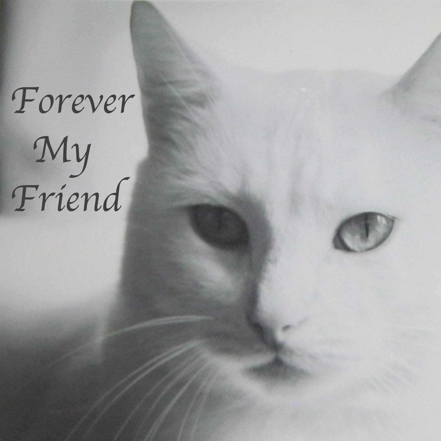 Pet Cremation Urns for Dogs Cats Ashes, Up to 60 lbs Memorial Keepsake Urns