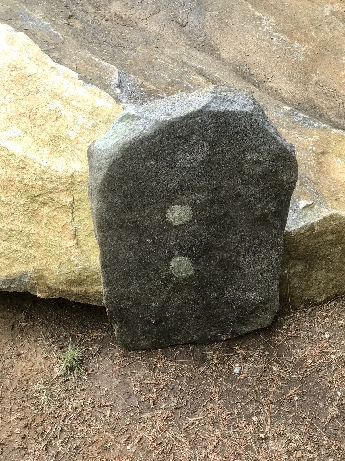 Natural Quartz Granite Stone Grave Marker Headstone Garden Pet Memorial Burial