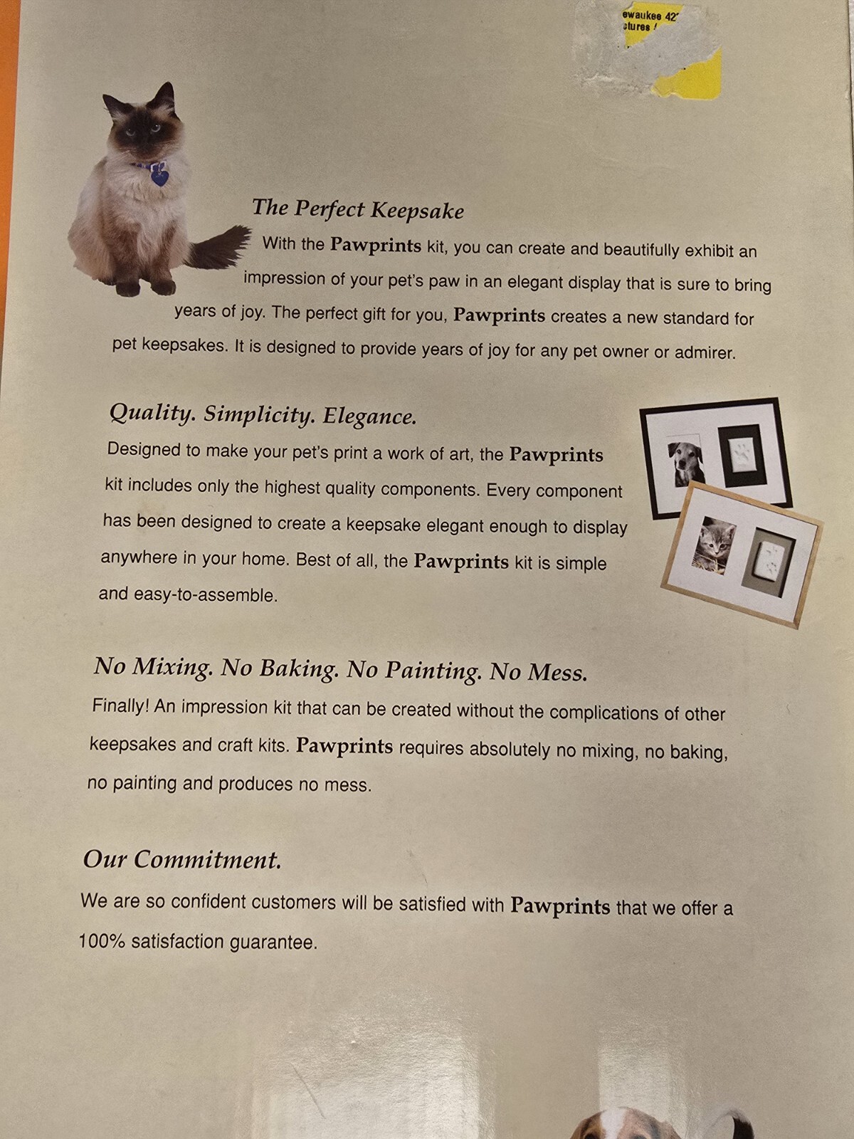 Dog Cat DIY Paw Print Impression Kit Natural Quality Frame 11 x 14 Pet Picture