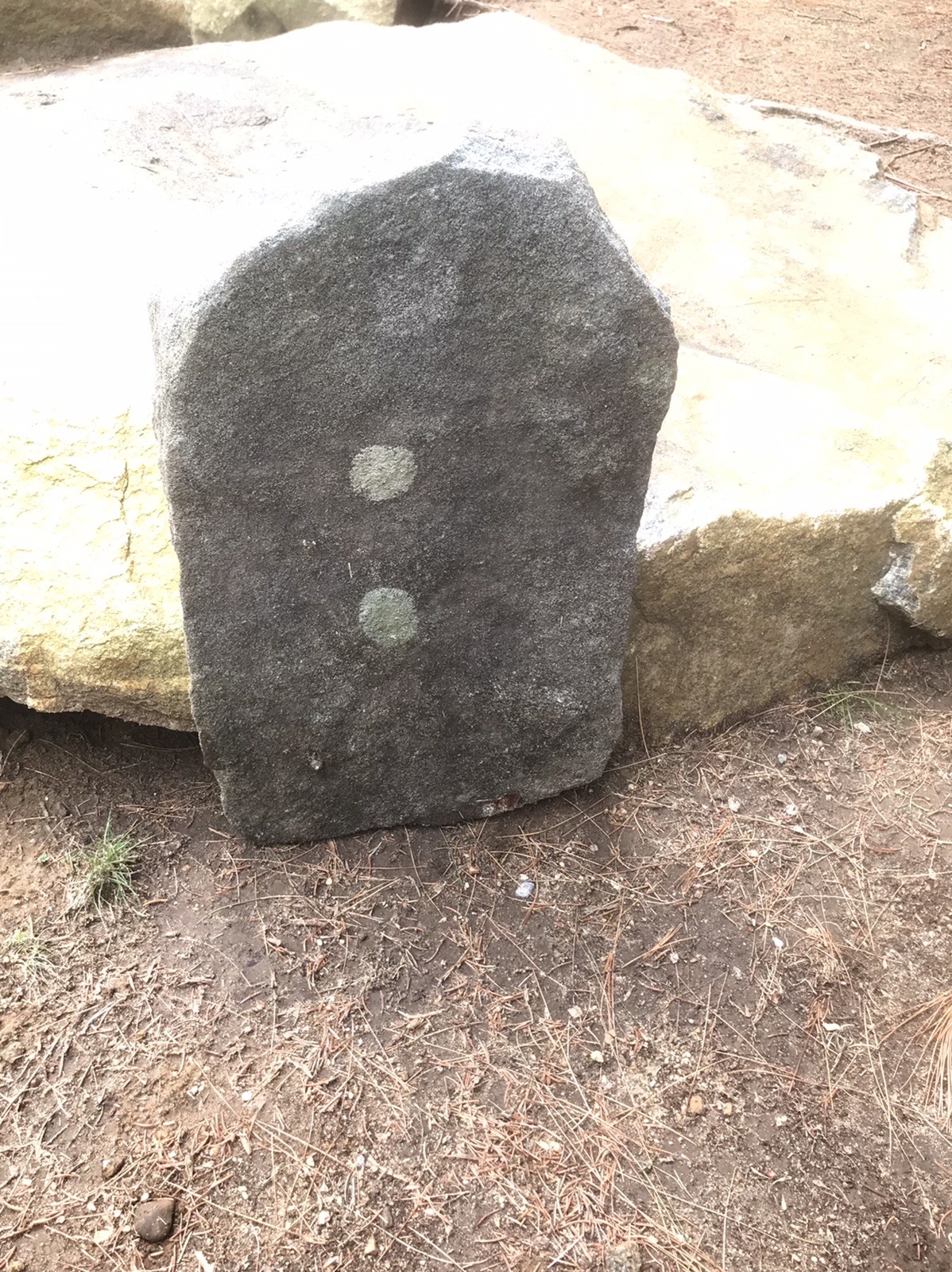 Natural Quartz Granite Stone Grave Marker Headstone Garden Pet Memorial Burial