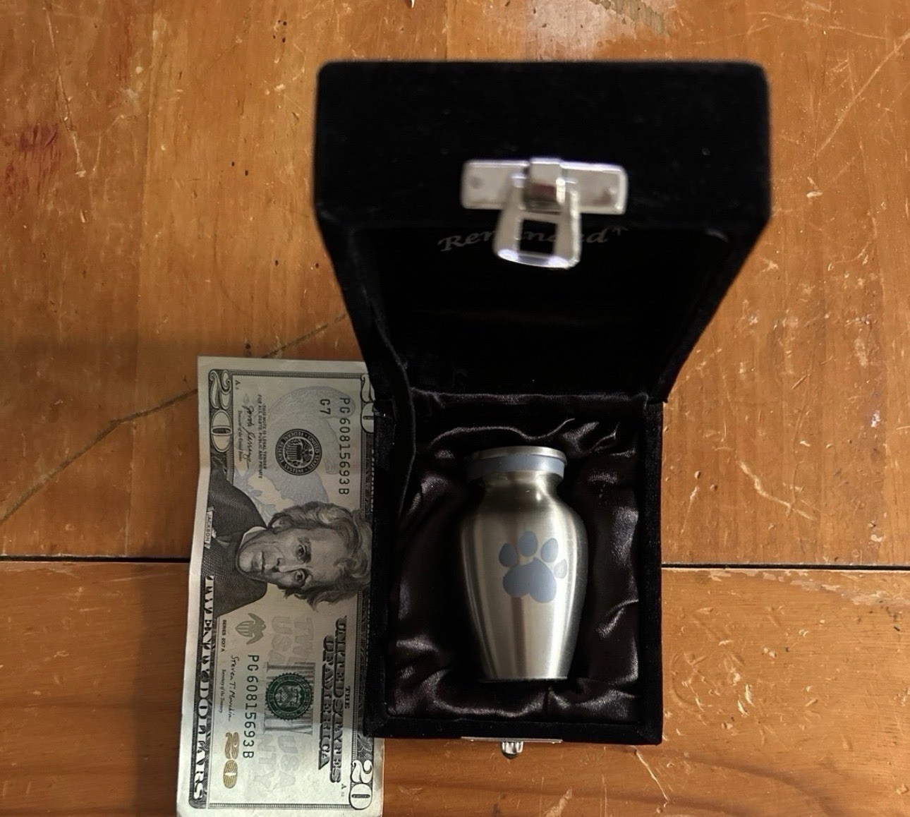 Paw Engraved Pet Stainless Steel Urn for Small Dogs & Cats Ashes + Box