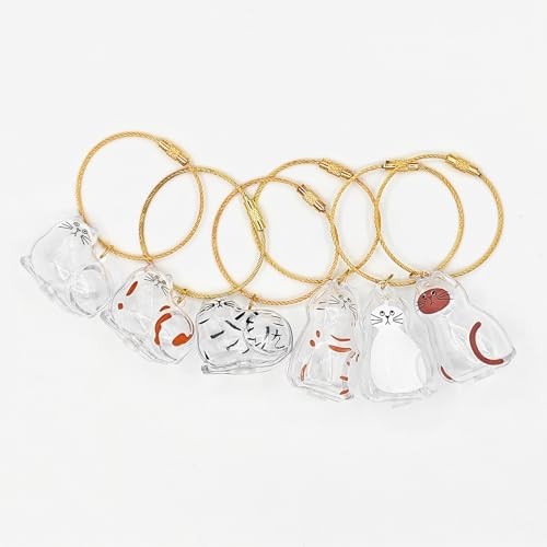 6Pcs Cat Hair Storage Pendant Keychain Pet Hair Keepsake Collector Plastic