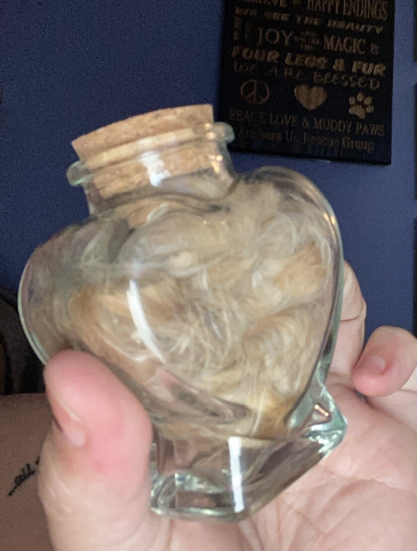 Glass Memorial Pet Fur Keepsake Jar – Cork Dog Charm Hair Display Loss