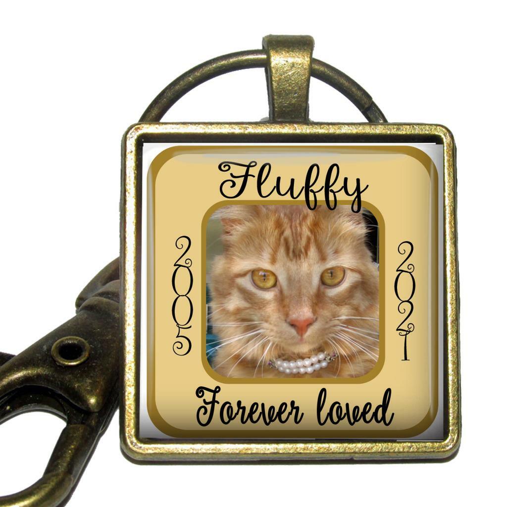 Personalize Pet Photo Message Memorial Glass Top Pendant Style Clip On Keychain