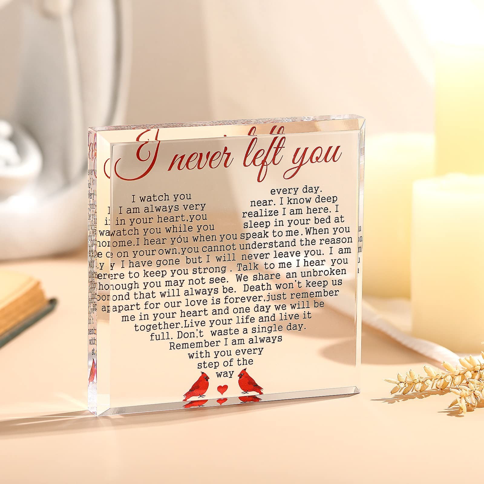 Yulejo Sympathy Gifts Plaque for Loss of Loved One Acrylic Cardinal Gift I Ne…