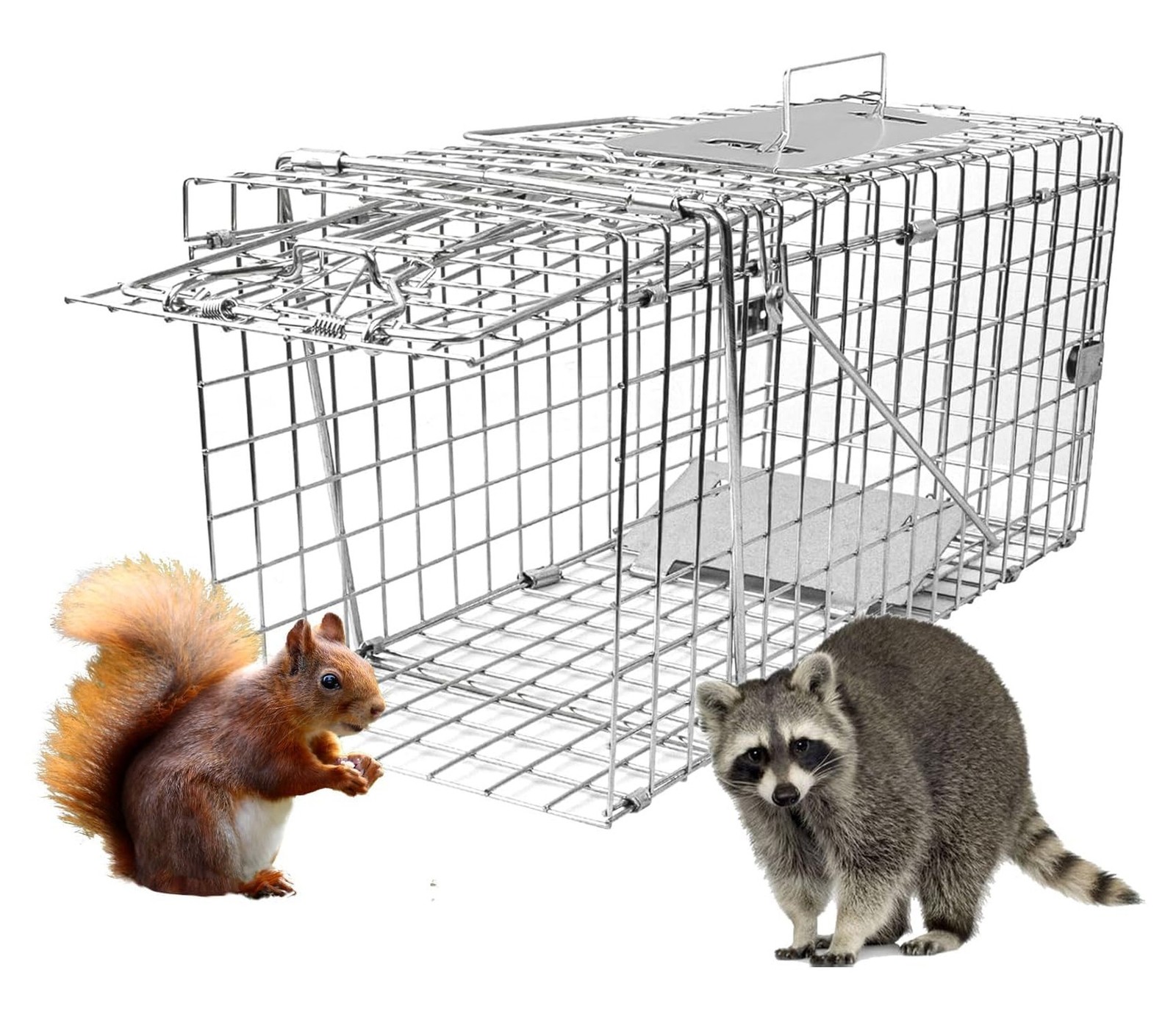 Live Animal Cage Trap, 31″ x 11″ x 12″ Heavy Duty Folding Raccoon Traps, Huma…