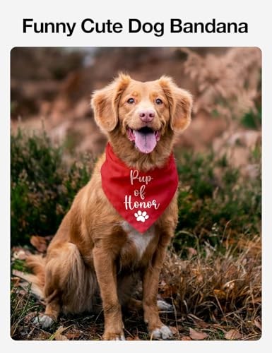 Pup of Honor Dog Bandana, Dog Wedding Bandana Pet Scarf Red Pup of Honor