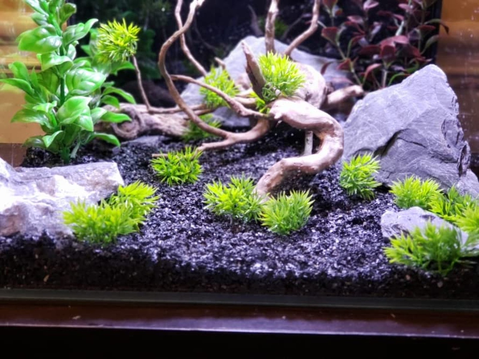 Natural Slate Stone 5 to 7 Inches – USA Sourced and Packaged for Aquascaping …