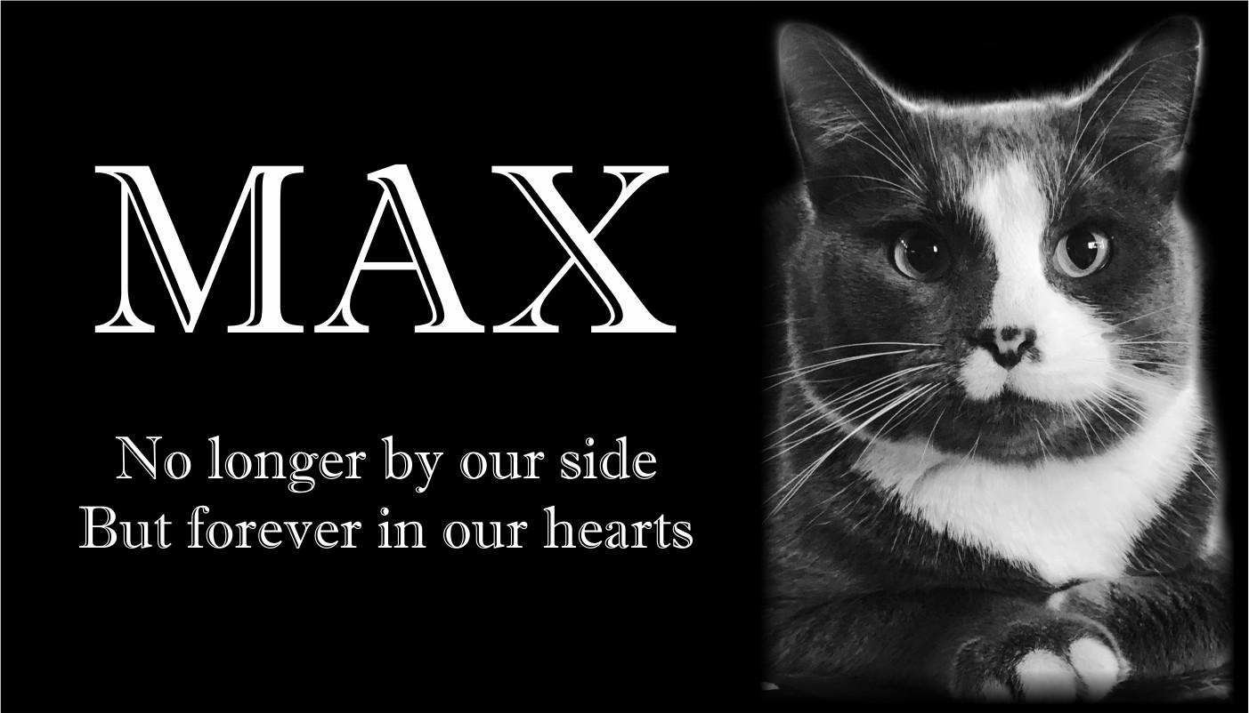 Personalized Pet Stone Memorial Grave Marker Granite Plaque Human headstone cat