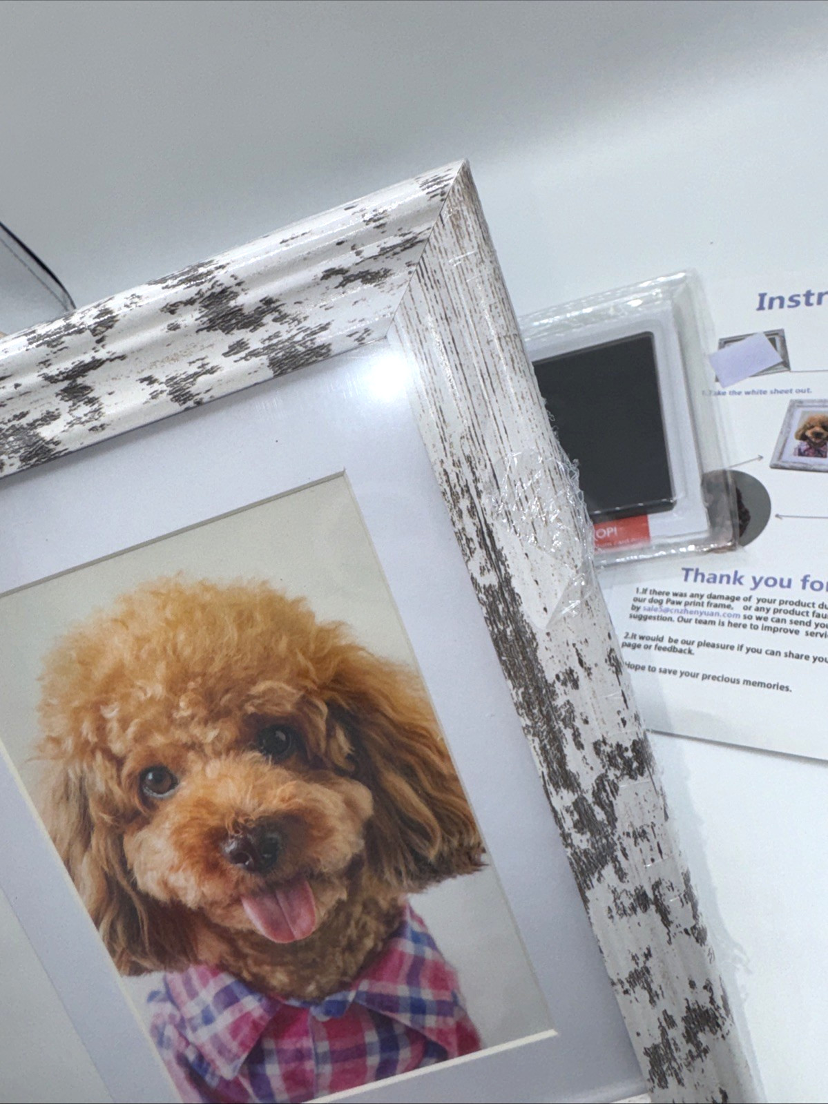 Pet Paw Print Photo Frame with Imprint Kit for Cats and Dogs