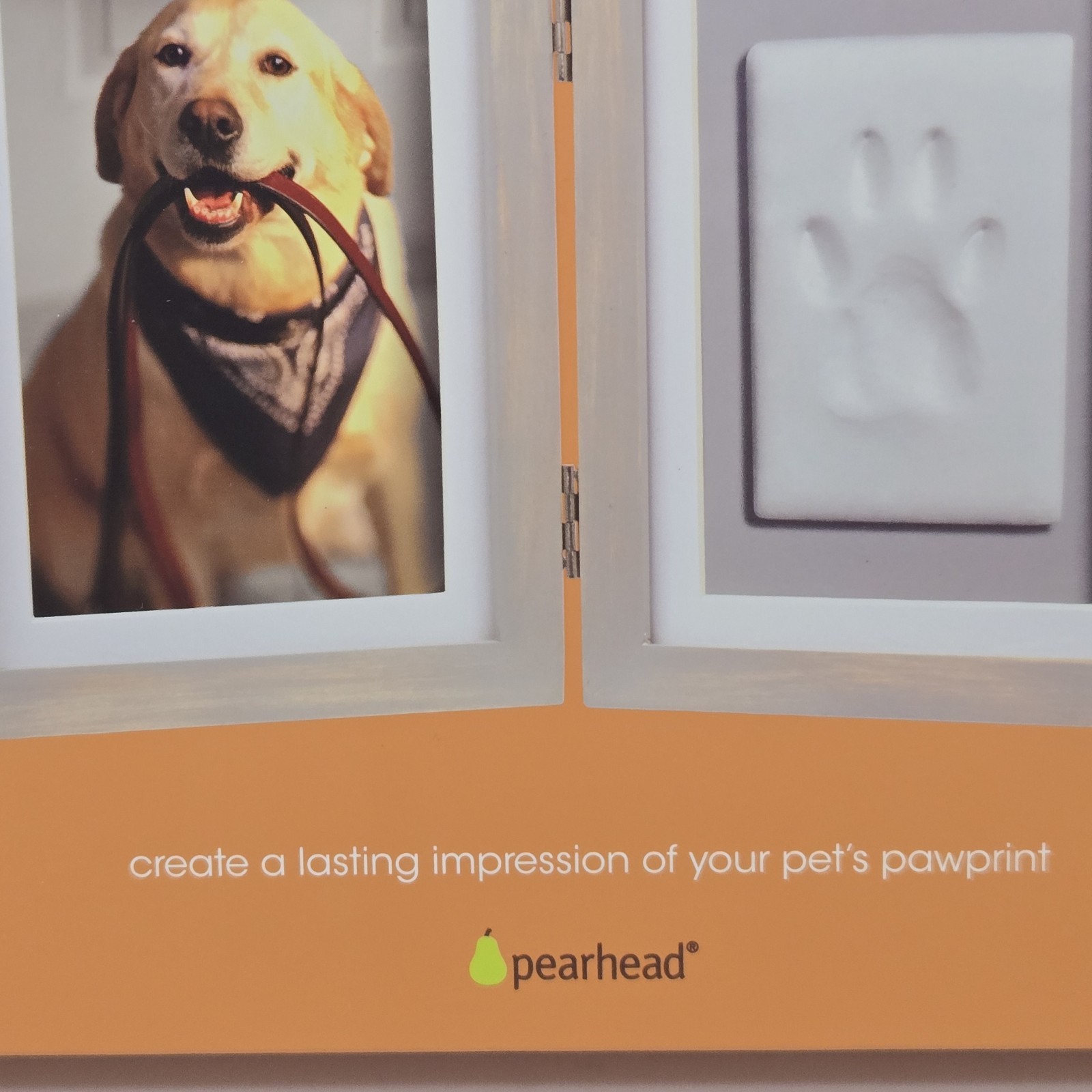 Pearhead Pet Paw Print Photo Frame with Clay Imprint Kit for Cats and Dogs