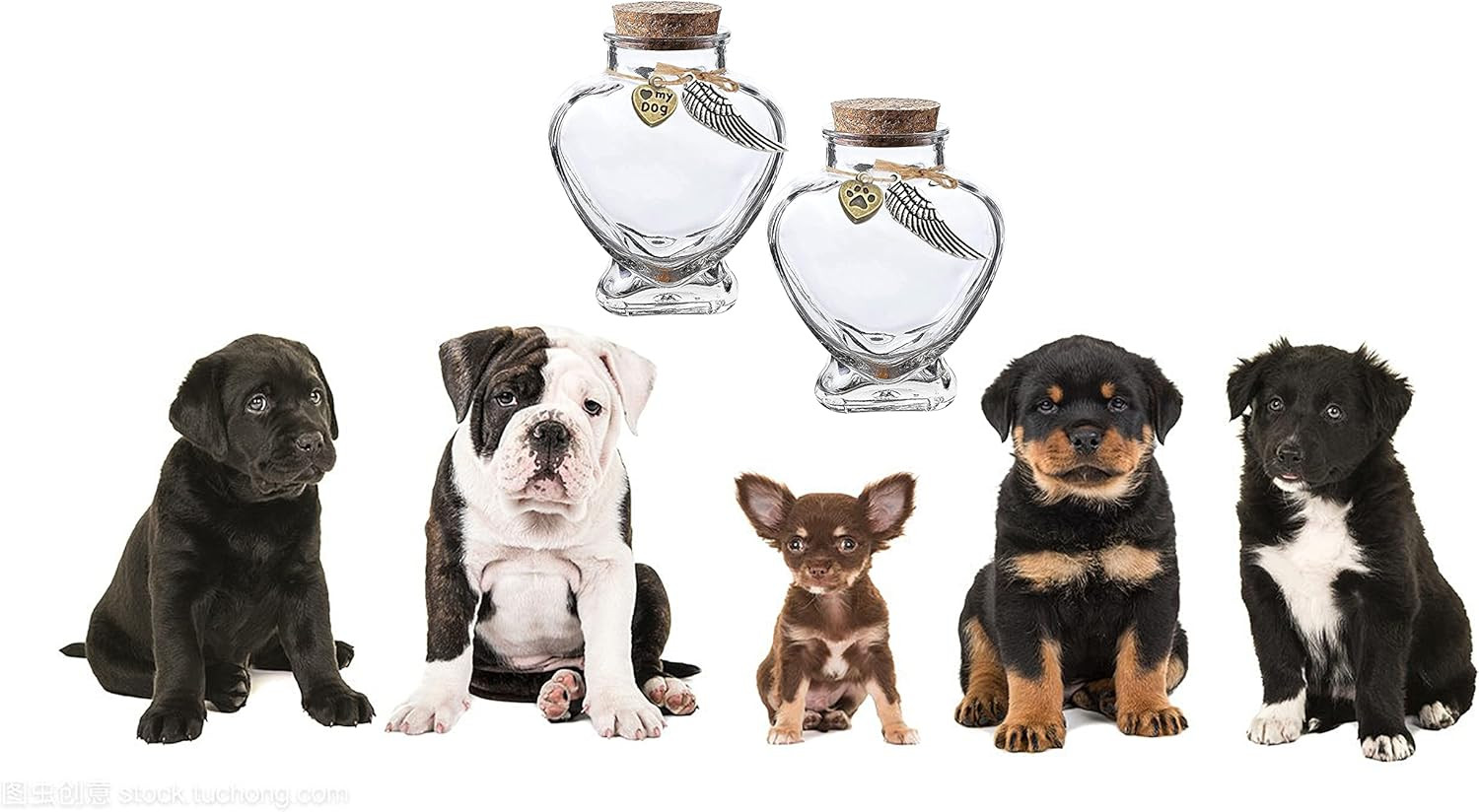 Memorial Bottle for Pet Hair，Pet Fur Memorial Fur Keepsake，Dog Cat Keepsake Fur,