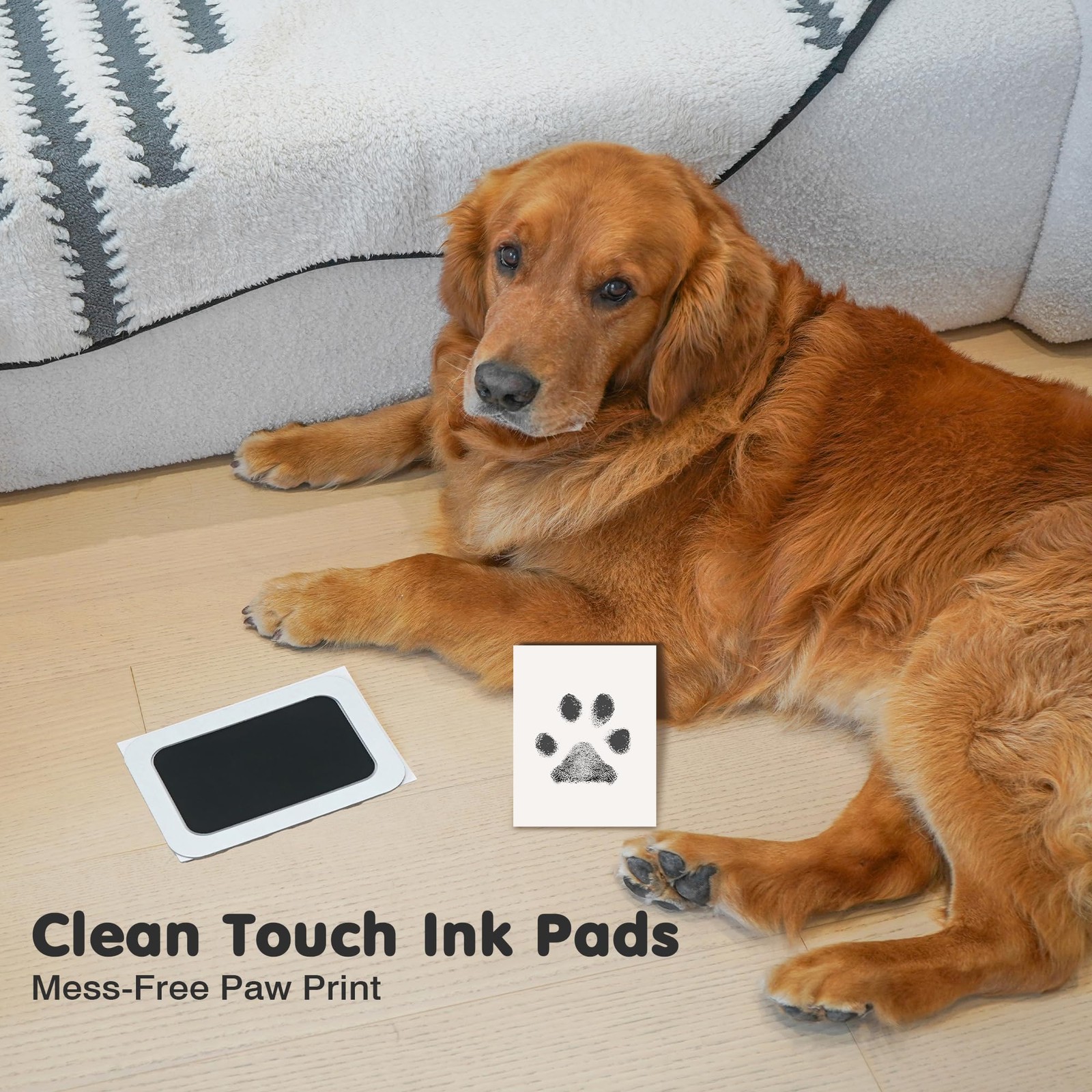 Inkless Paw Print Kit for Dogs,Cats & Babies – Clean Touch Dog Nose & Baby Ha…
