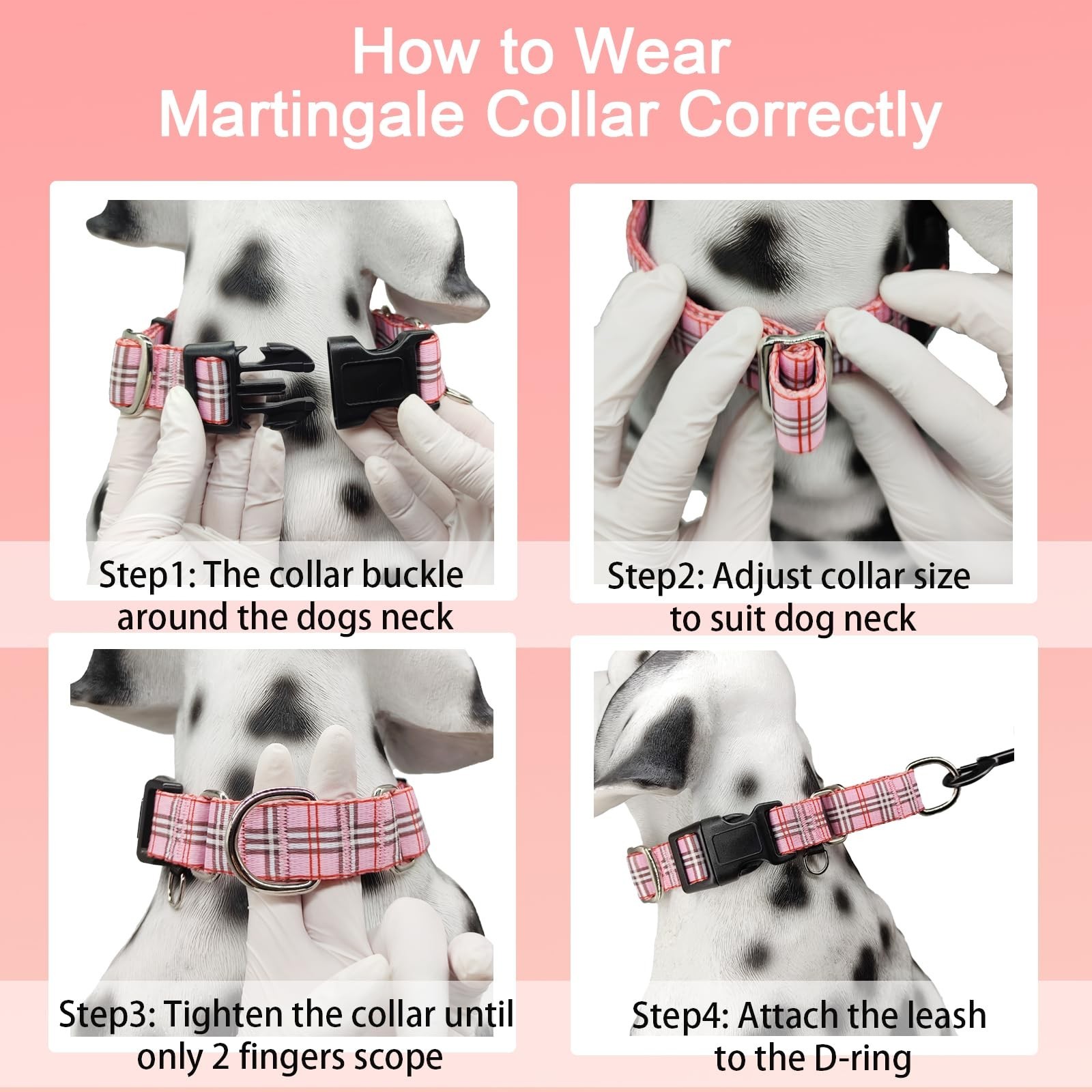 Martingale Collar with Quick Release Buckle Cute Girl Female Training Dog Col…