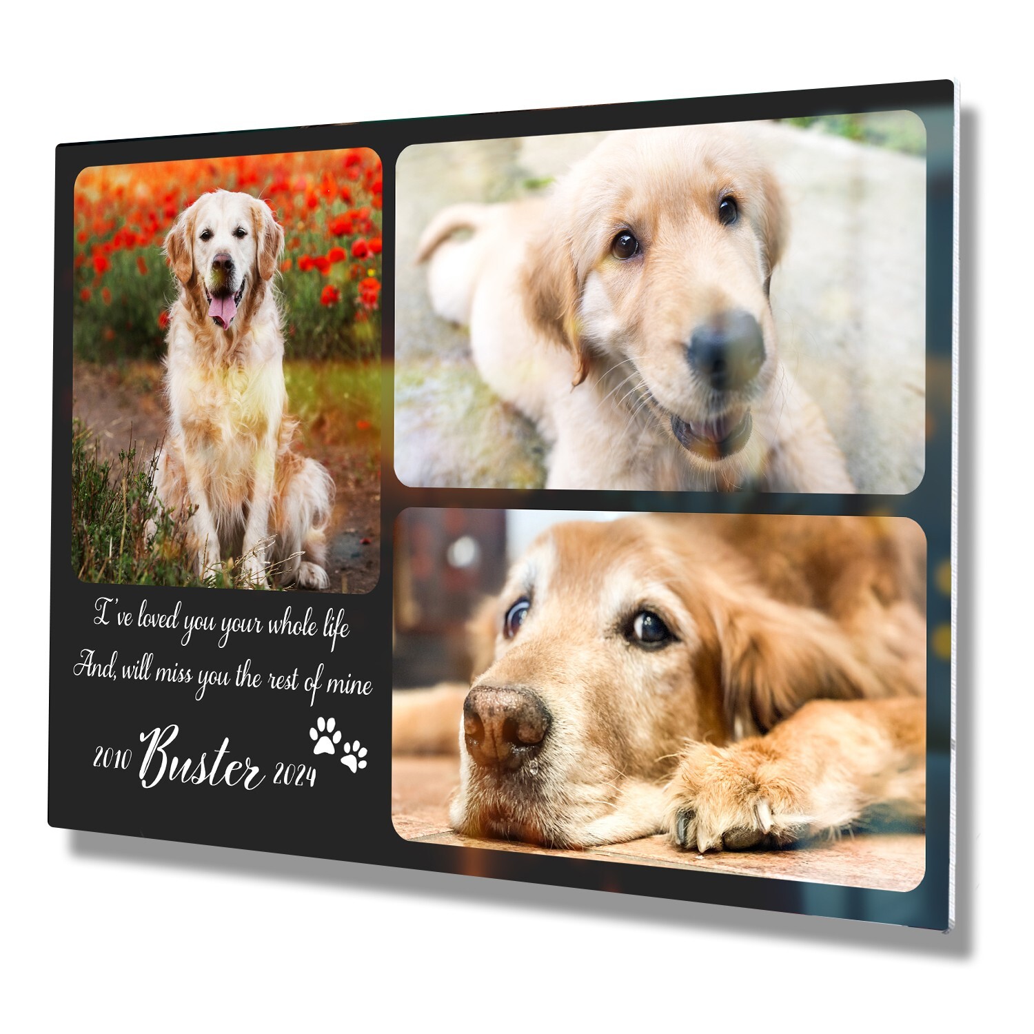 Personalized Pet Memorial Gifts with Photo of your Dog, Cat Custom Metal Print