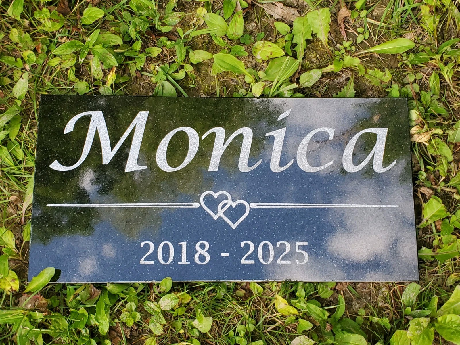 Personalized Pet Memorial Stone – Custom Engraved Tribute for Dog Cat Loss t13