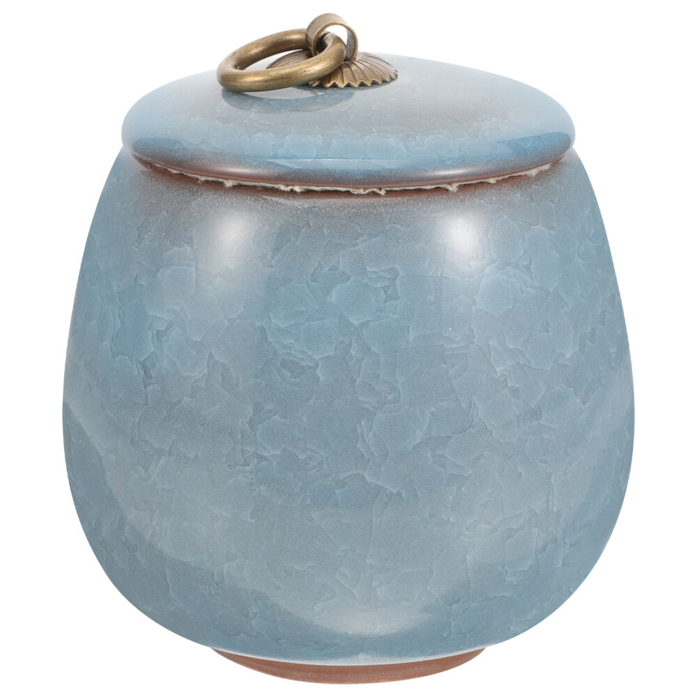 Pet Urns for Cats Blue Mini Keepsake Sympathy Ashes Storage