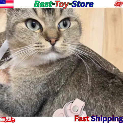 5PCs Pet hair keychain, Leather Paw Keychain with Hair Storage for Dog & Cat