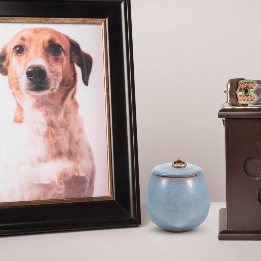 Pet Urns for Cats Blue Mini Keepsake Sympathy Ashes Storage