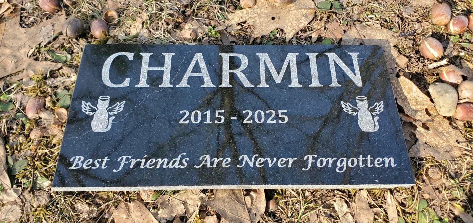 Cat Pet Memorial Granite Stone Engraved Grave Marker Headstone Garden Plaque t8